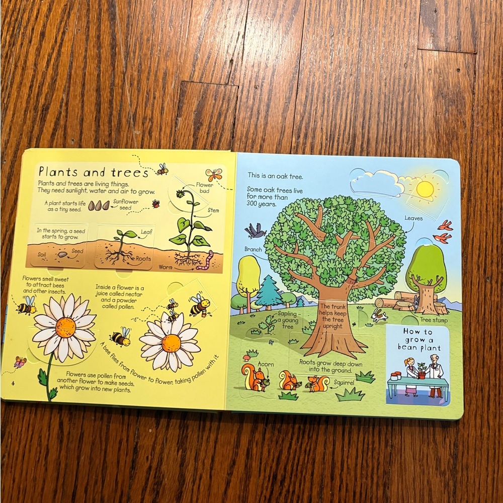 Usborne Look Inside Science Book - Picture 4 of 5